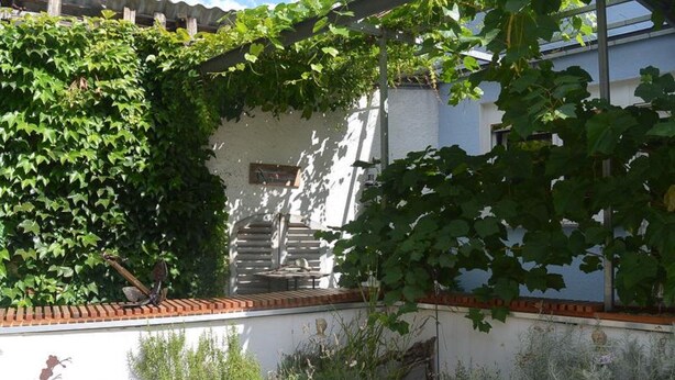 Un jardin avec un mur blanc, un banc en bois et diverses plantes.