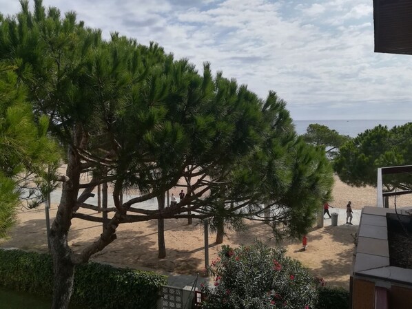 Beach/ocean view