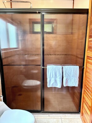 Regadera, toallas, jabón, shampoo 