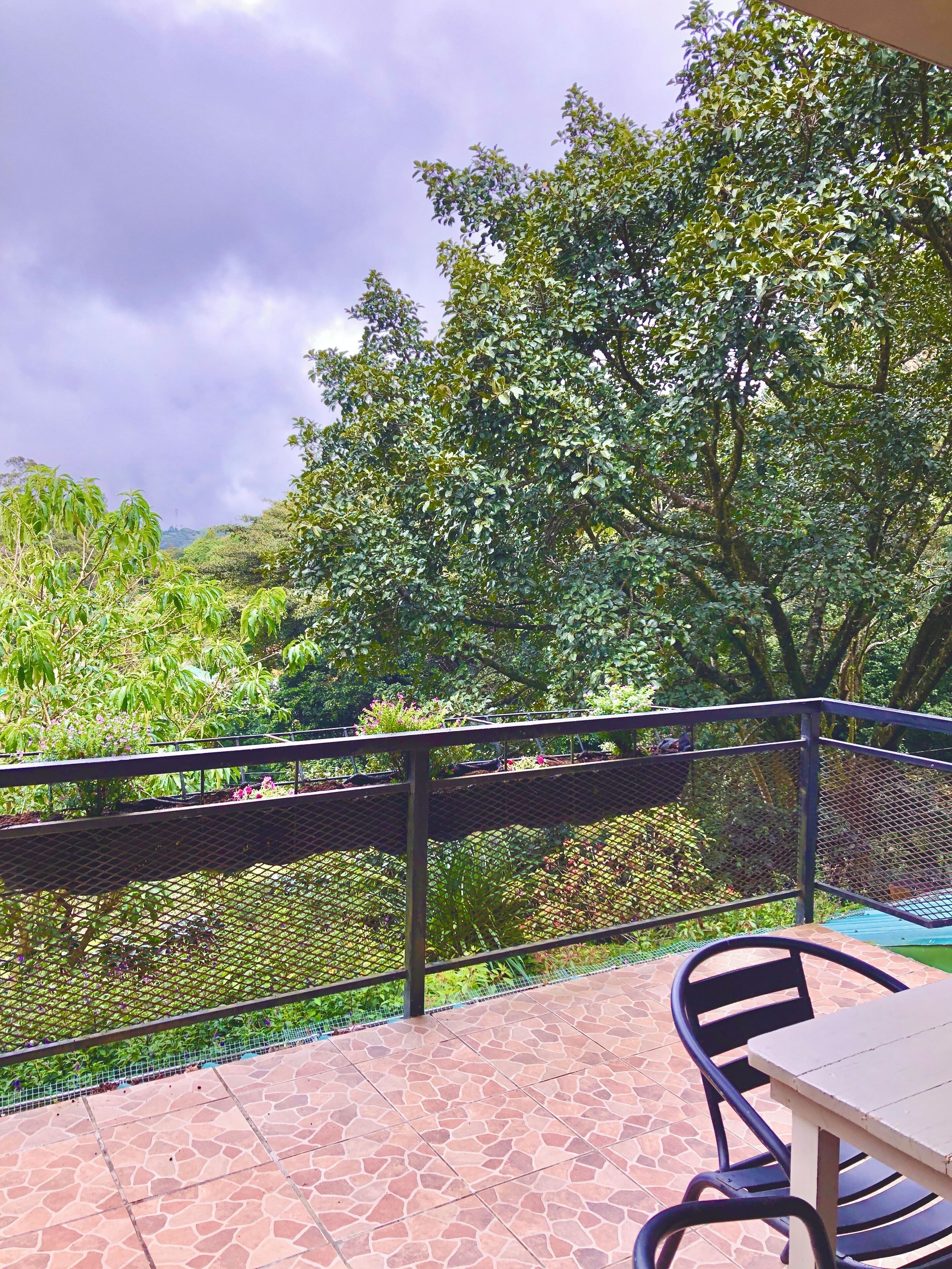 A patio with a table and chairs, a metal railing, and a view of lush greenery and trees.