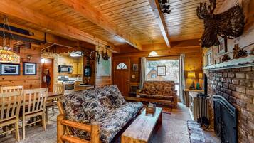 TV, fireplace, DVD player, books