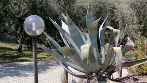 A large agave plant with a spherical light fixture in a garden setting. - Villa Rosetta in the middle of nature, surrounded by palm and olive trees  (Pizzo)