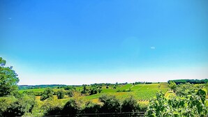Un paysage rural avec des champs et des arbres sous un ciel dégagé.