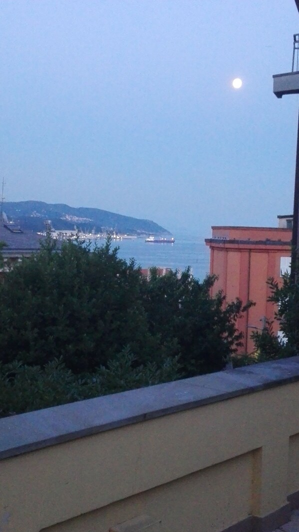 Vista dalla struttura