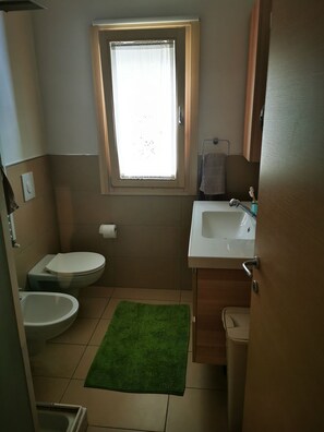 Douche, séchoir à cheveux, bidet, serviettes fournies
