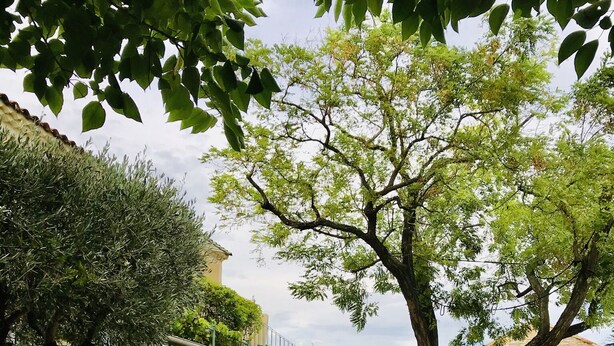 A gravel courtyard with a table and a potted plant. - Mas de l'Acacia (Tavel)