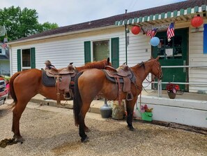 Nicht klassifiziertes Bild, 5 von 8, Schaltfläche