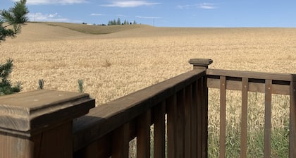 Custom Tiny Home 10 minutes from Downtown Moscow.