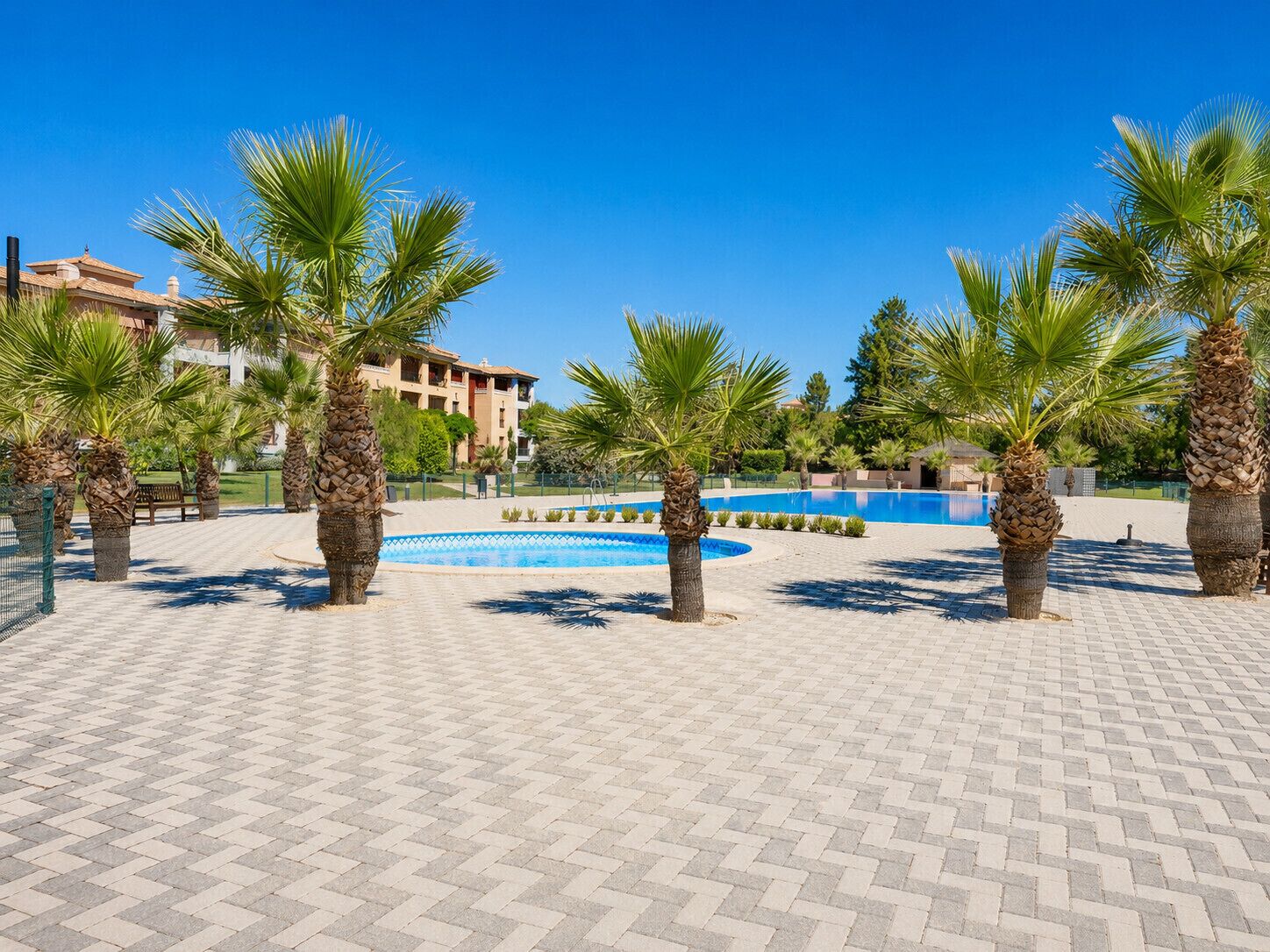 A pool area with palm trees and a building in the background.