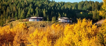 2 Dome Cabins-1 hr to Yellowstone-Hot tub+Theater+Gaming Room+Pool Table+Air Hockey+Shuffle Board+Secret Kids Playroom
