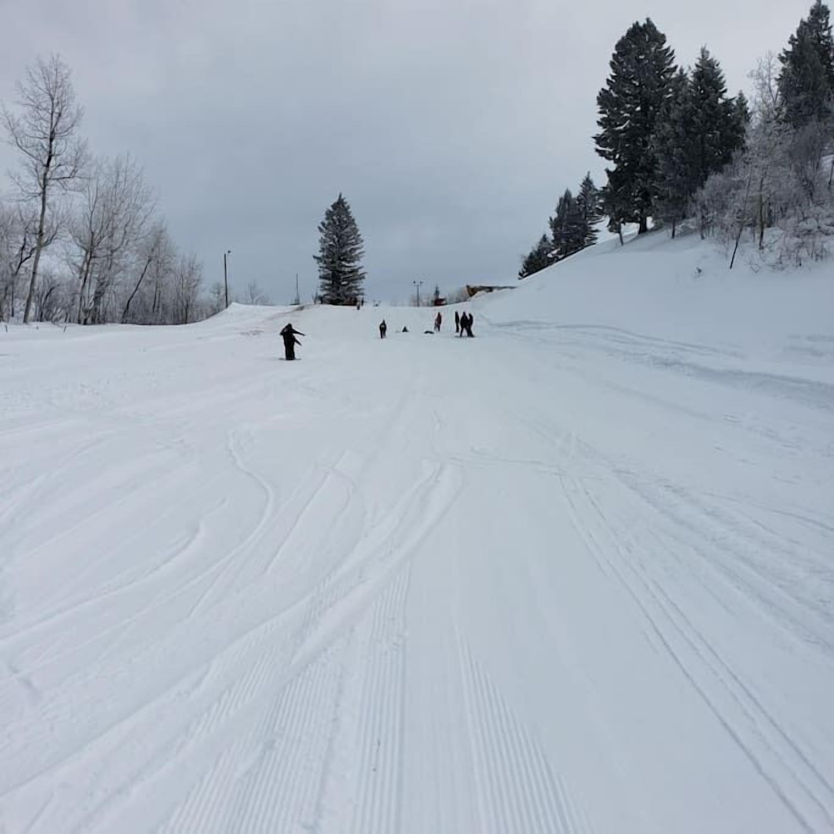 Snø- og skisport