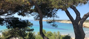 Provencal mansion with swimming pool in the heart of the Alpilles "La reverie".