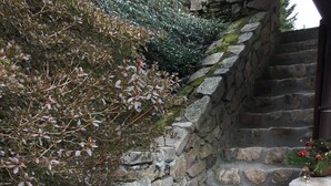 Una escalera de piedra que conduce a una puerta de madera, rodeada de follaje y musgo.