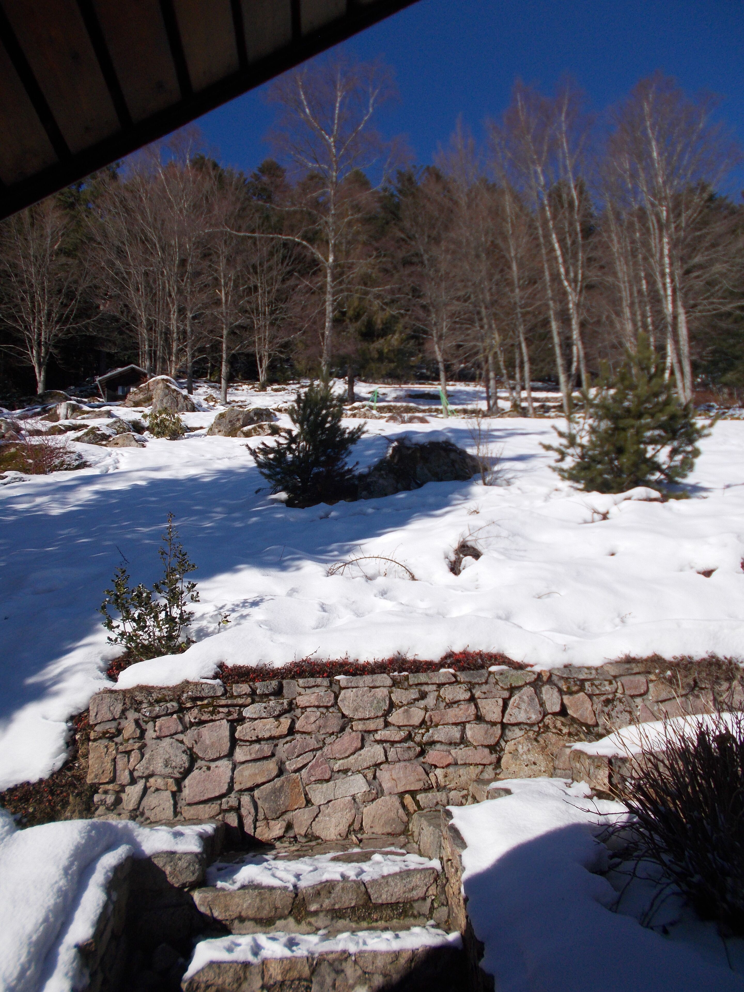 A stone wall with snow-covered ground and trees in the background.