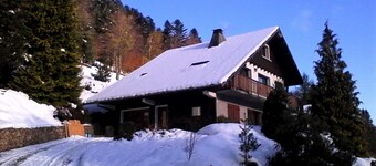 3-room apartment in "Les Pommes de Pin" chalet, with terrace and garden