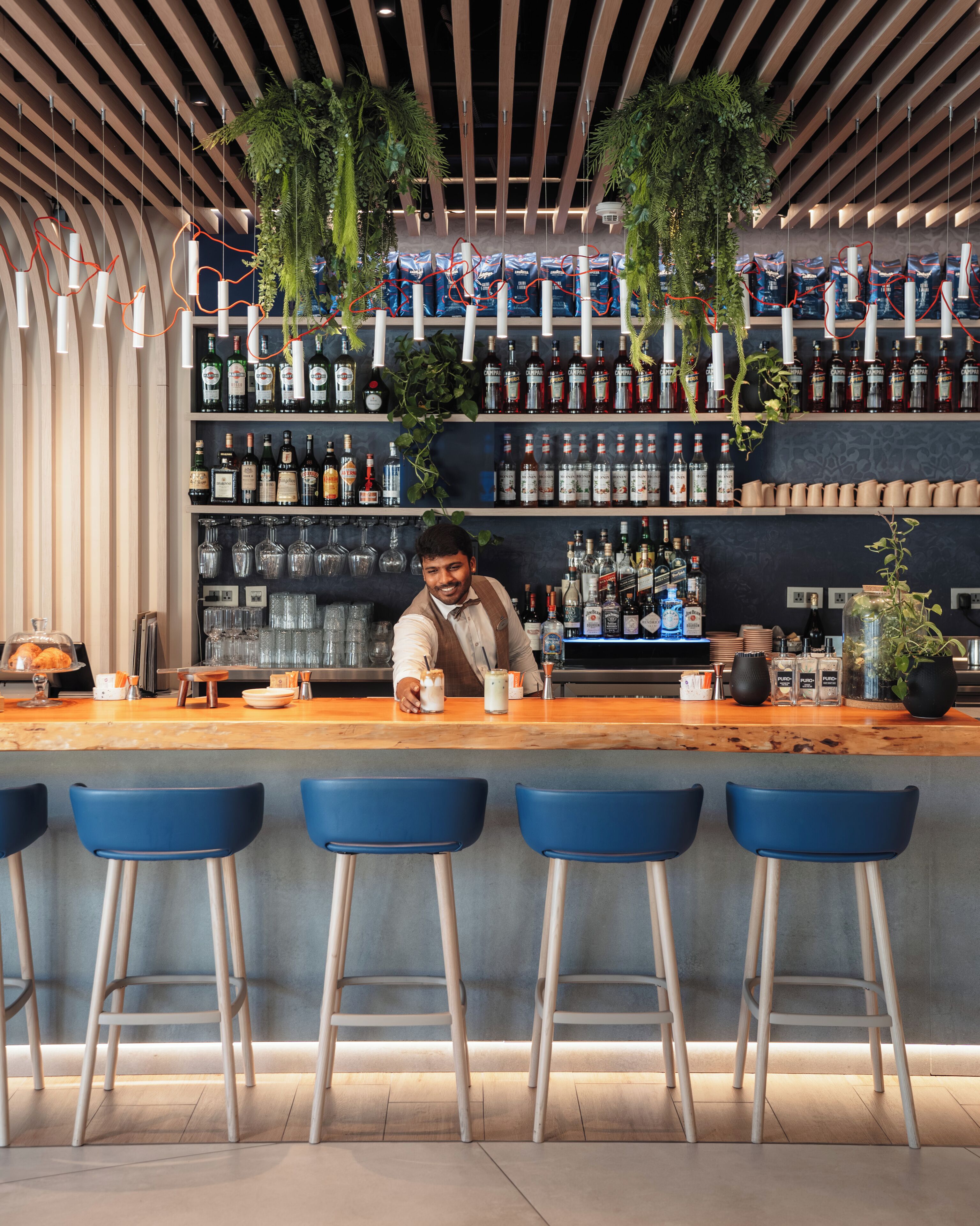 A bar area with a bartender, shelves of liquor bottles, hanging plants, and blue bar stools.
