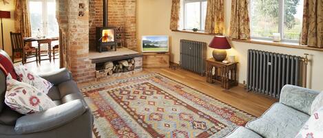 Televisión, chimenea, reproductor de DVD