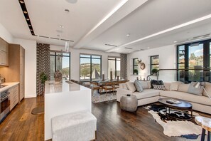 TV, fireplace, ping pong