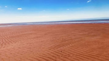 Toallas de playa