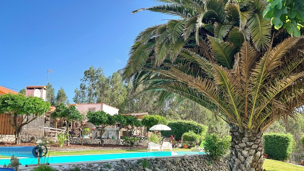 Zona de piscina con muro de piedra, palmera y un edificio con techo rojo al fondo.