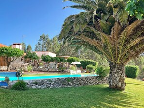 A pool area with a stone wall, palm tree, and a building with a red roof in the background.