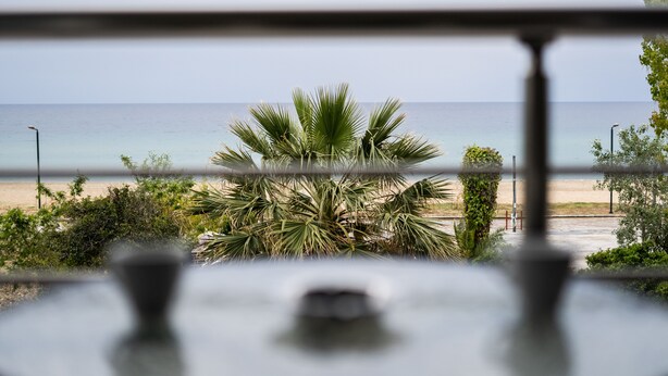 A view from a window overlooking a beach with palm trees and a clear sky.