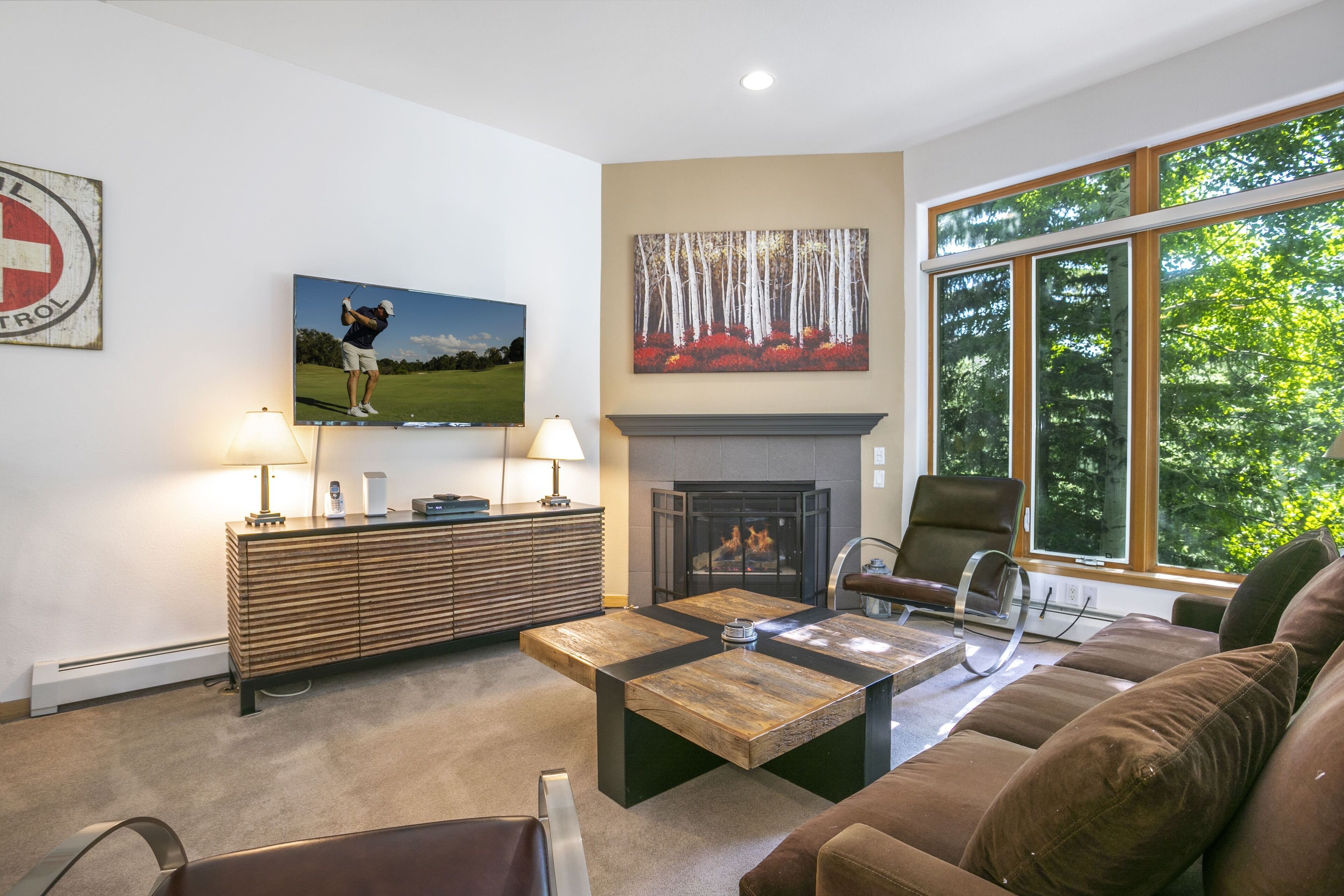 TV, fireplace, DVD player, stereo