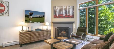 TV, fireplace, DVD player, stereo