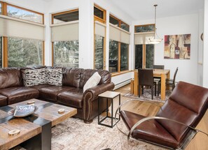 TV, fireplace, DVD player, stereo