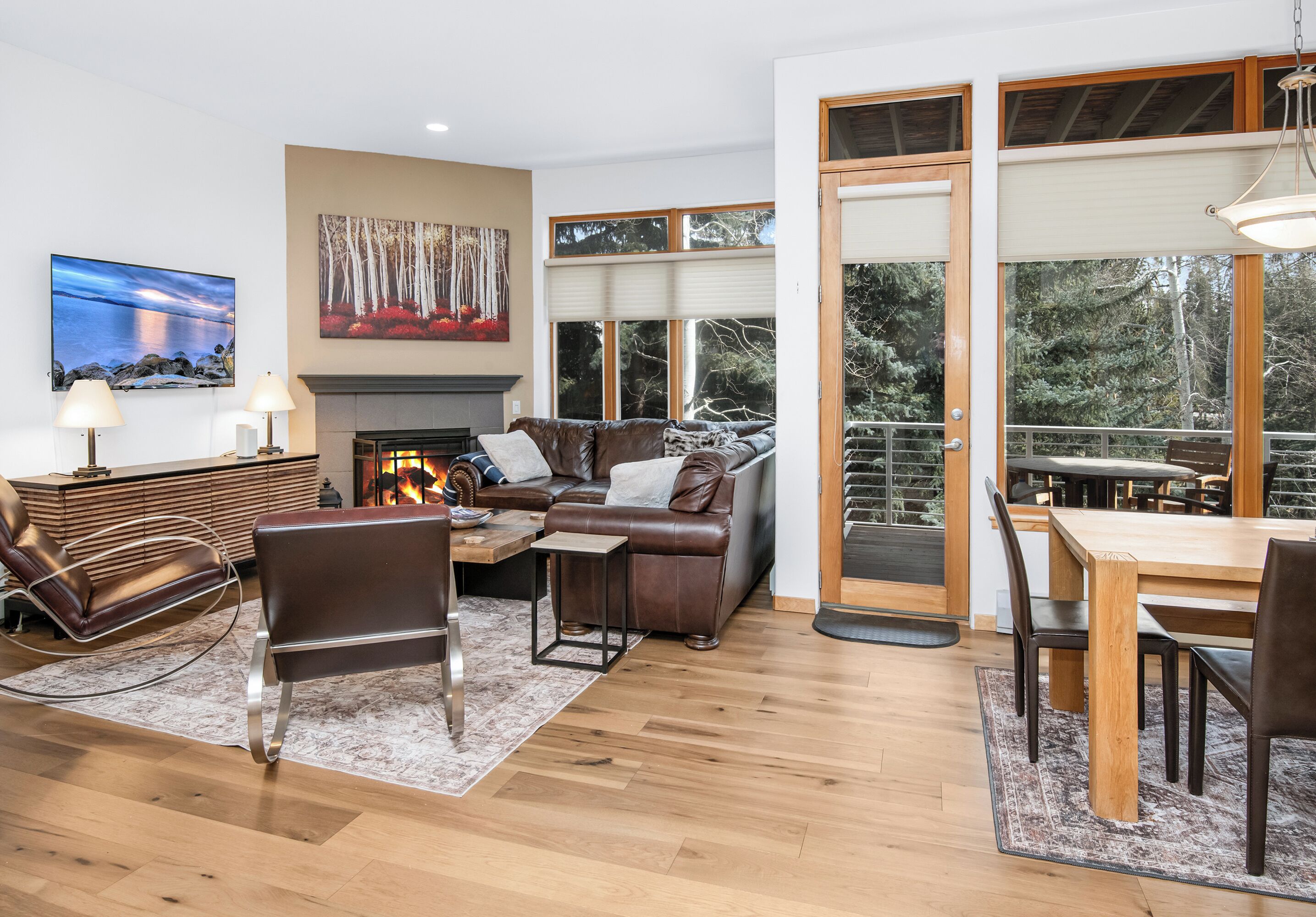 TV, fireplace, DVD player, stereo