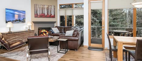 Televisión, chimenea, reproductor de DVD y estéreo