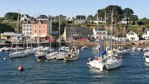 A marina with multiple sailboats docked, surrounded by buildings and hills in the background.