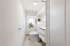 Ducha, secador de pelo, bidet