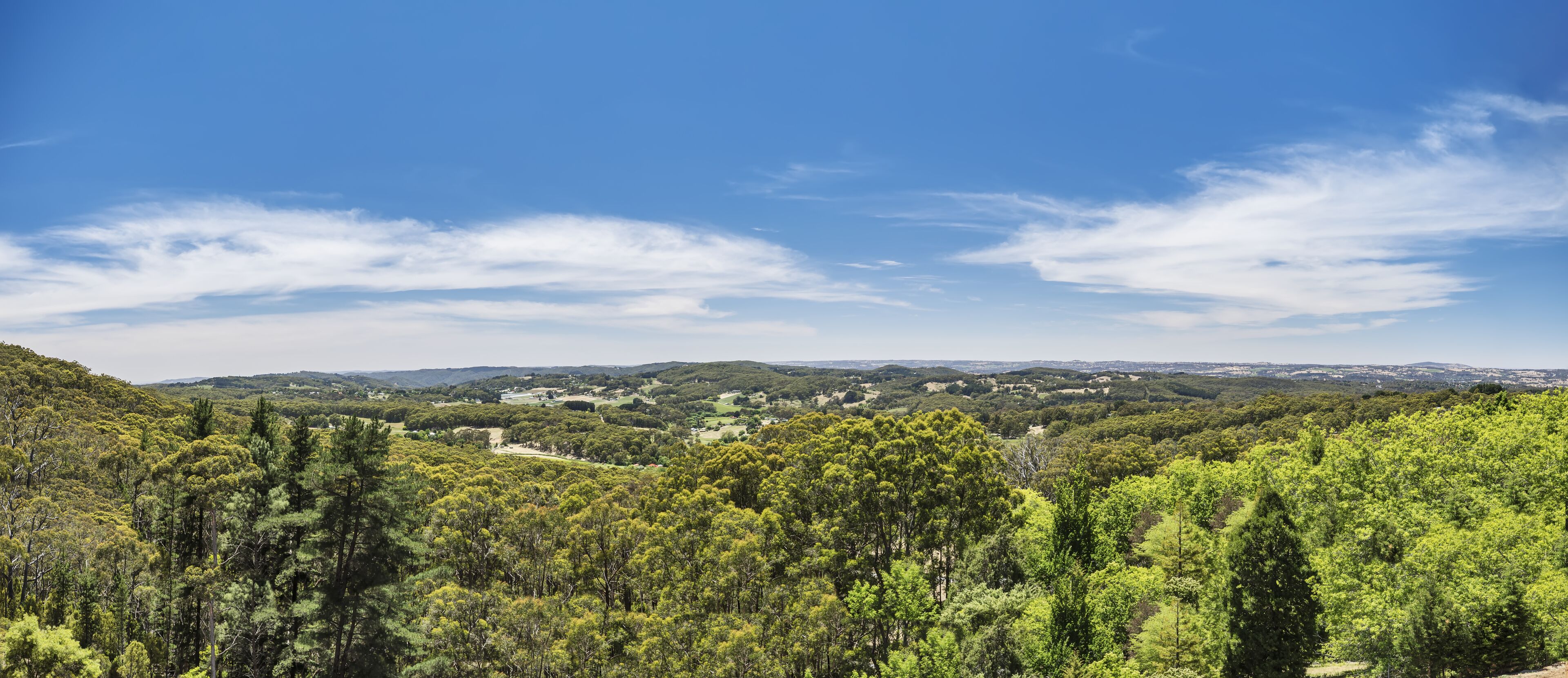 Vista panorámica de un paisaje montañoso con bosques verdes frondosos y un cielo azul despejado.