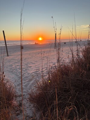 A beach scene with a sunset, sandy shore, and sparse vegetation.