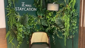 Habitació amb una paret verda decorada amb diverses plantes, una cadira de vimetes i una làmpada.