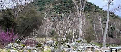 Restauration en plein air