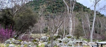 The Fairy Stream 's House