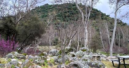 The Fairy Stream 's House