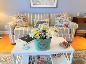 Televisio, DVD-soitin, kirjoja, videokirjasto