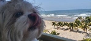 Am Strand