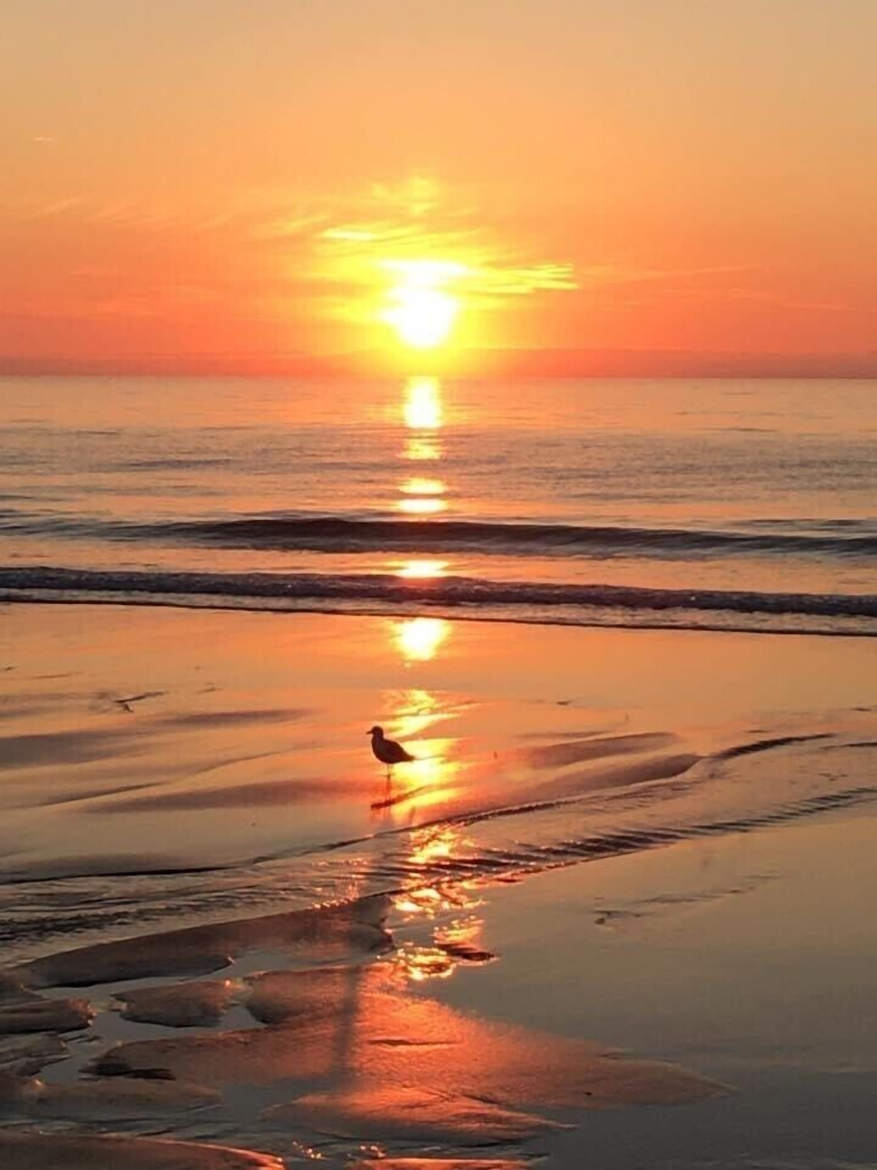 En la playa, camastros y toallas de playa 