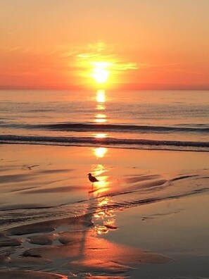 Sur la plage, chaise longue, serviettes de plage