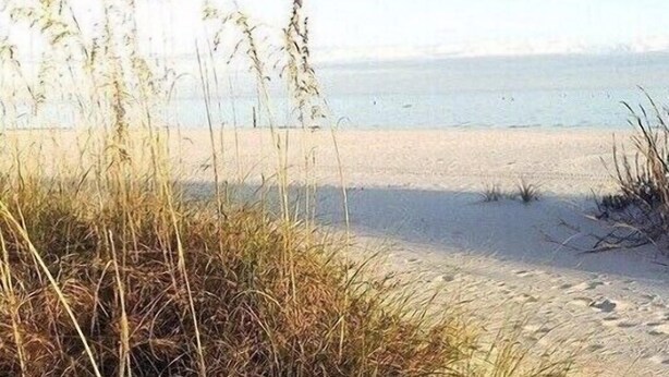 A sandy beach with tall grasses in the foreground and a clear sky. - Yellow Door Cottage In The Heart of Bay St. Louis (Bay St. Louis)