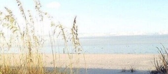 Yellow Door Cottage In The Heart of Bay St. Louis