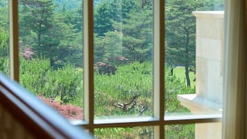 Pegasus | Living area