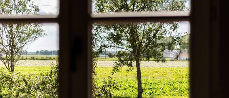 Una ventana con vistas a un paisaje verde, con árboles y un campo.