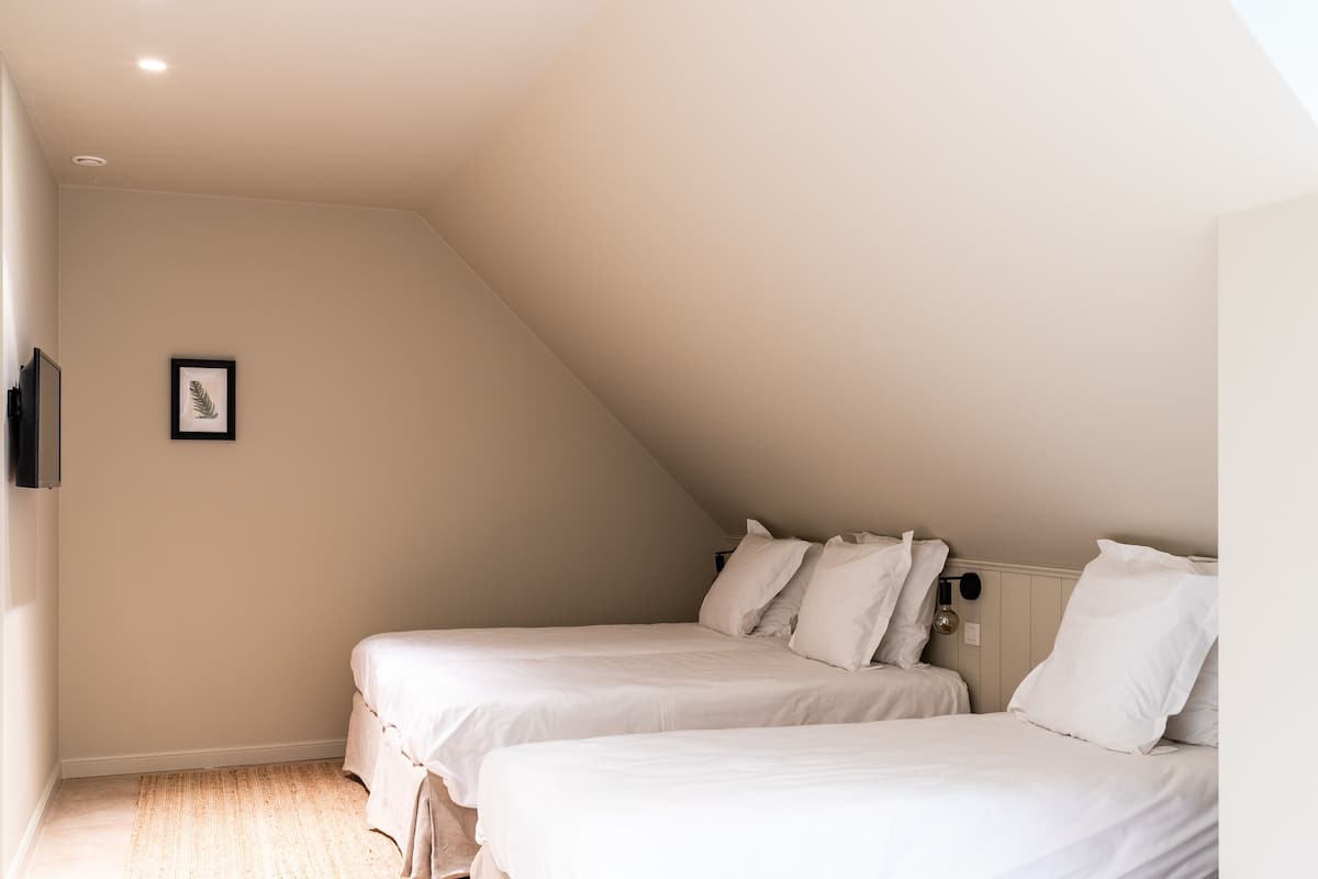 A bedroom with two beds, a framed picture on the wall, and a ceiling light.