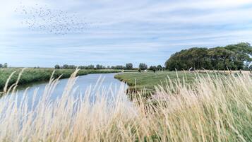 A river with tall grass in the foreground, a tree line in the background, and a flock of birds in the sky.