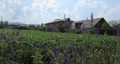 Nazani Guesthouse